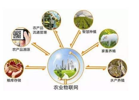 物联网与区块链全程溯源技术共筑食品安全护城河